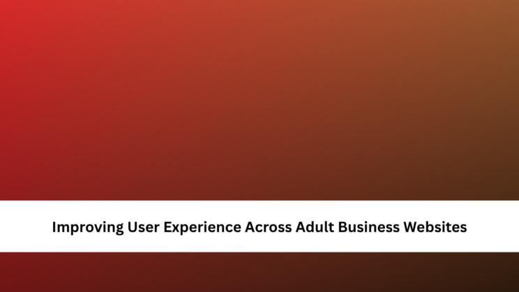 Improving User Experience Across Adult Business Websites