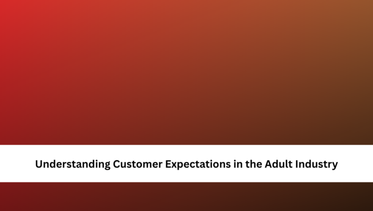Understanding Customer Expectations in the Adult Industry